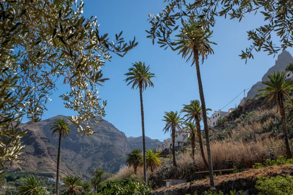 Finca Los Castaños – 12