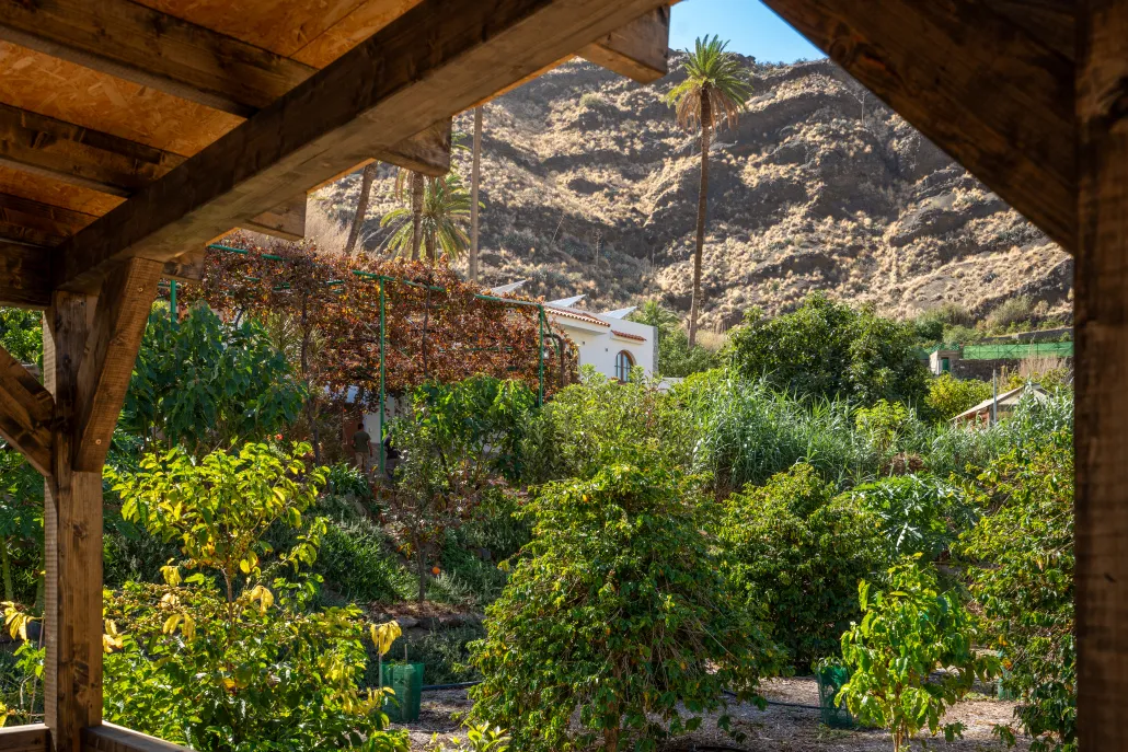 Finca Los Castaños – 13