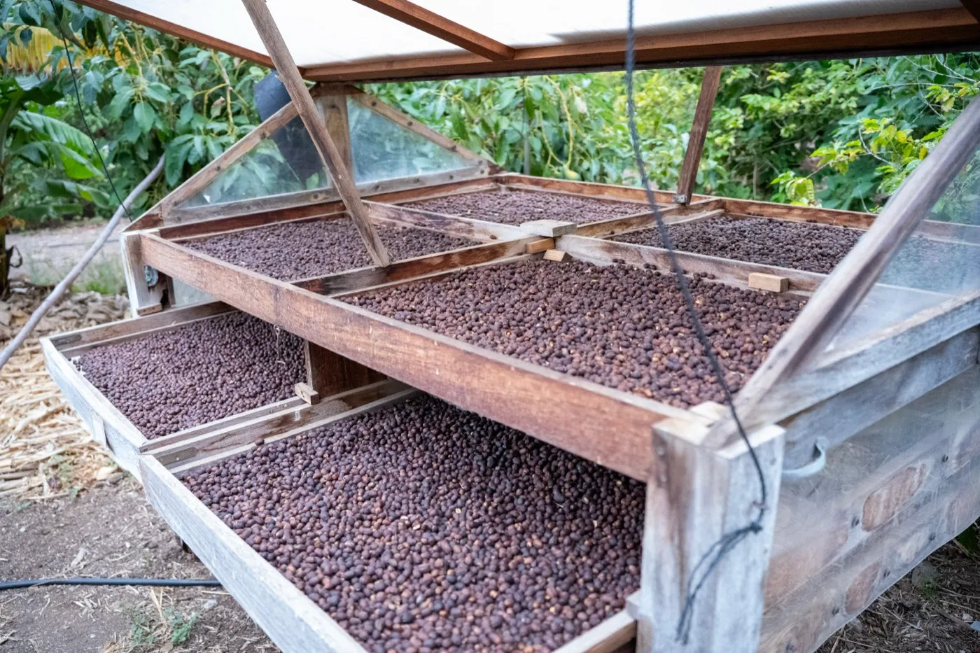 Finca Los Castaños – 28
