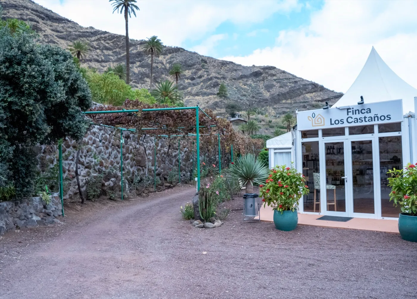 Finca Los Castaños – 29